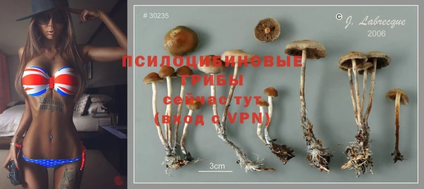 дживик Вяземский