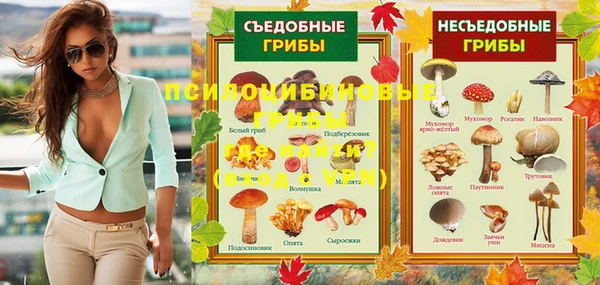 дживик Вяземский
