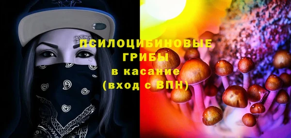 герыч Вязьма