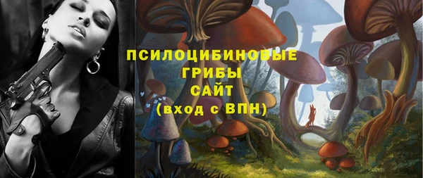 герыч Вязьма