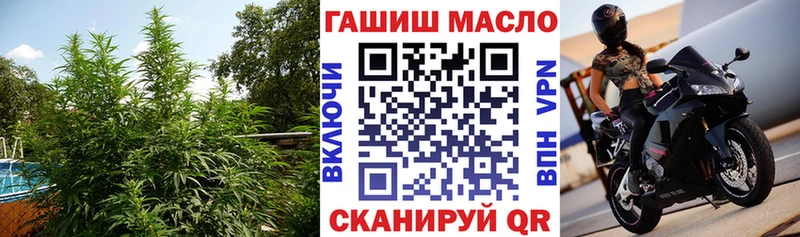 Купить закладки  Чебоксары  Дистиллят ТГК жижа 